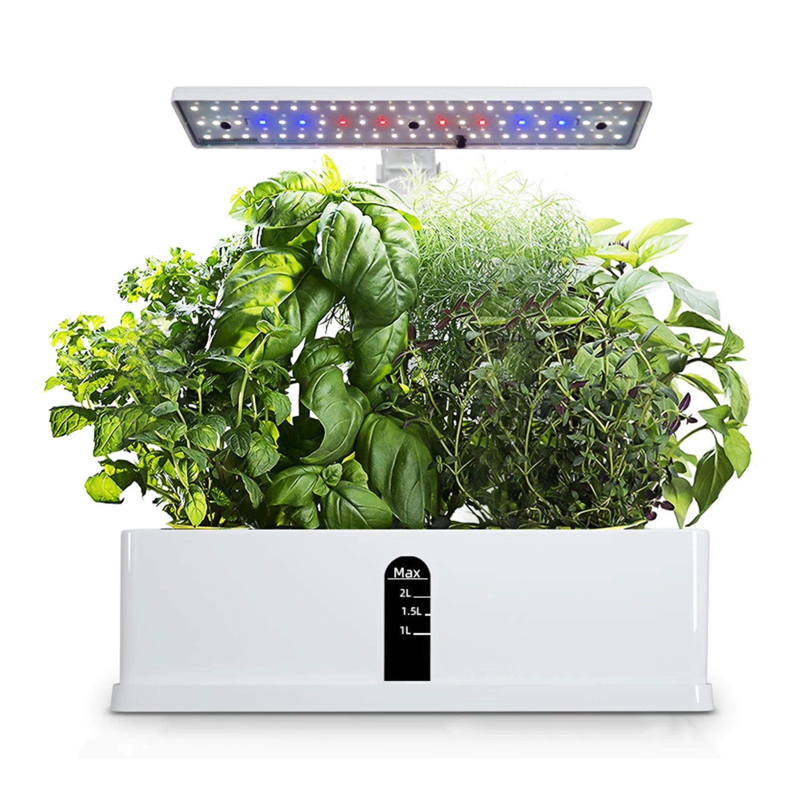 Hydroponics Plant Growing System